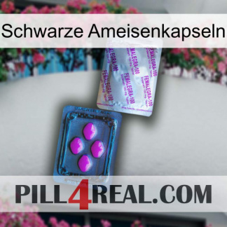 Black Ant Capsules 37